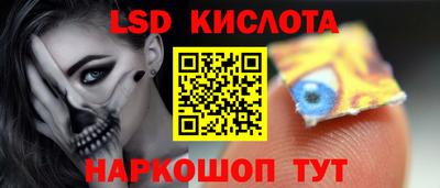 СК Гатчина