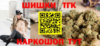 СК Гатчина