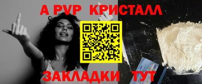 СК Гатчина