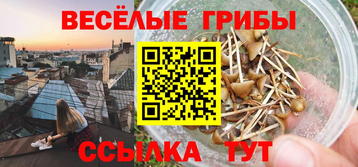 Галлюциногенные грибы Psilocybine cubensis  Галлюциногенные грибы GOLDEN TEACHER  Кашира  Вход с VPN 