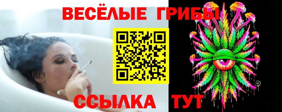 Как найти наркотики?  МЕФ кристаллы  Alpha PVP СК   Вход с VPN  Экстази  Кашира  Каннабис  NBOMe 